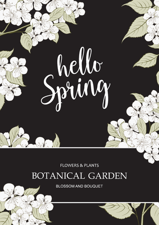Hello spring concept for card with blooming cherry isolated over black background. Vector illustration.のイラスト素材