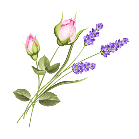Wedding flowers bouquet of color bud garland. Label with rose and lavender flowers. Vector illustration.のイラスト素材