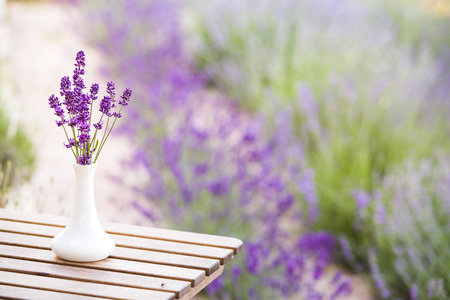 Lavender flower composition on field with vase and basket. Sunset gleam over purple flowers of lavender. Provence region of france.の写真素材