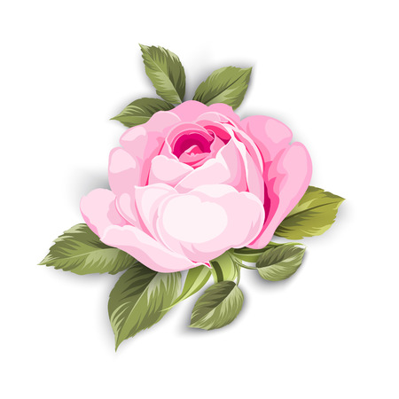 Spring flowers bouquet of color bud garland. Label with rose flowers. Vector illustration.のイラスト素材