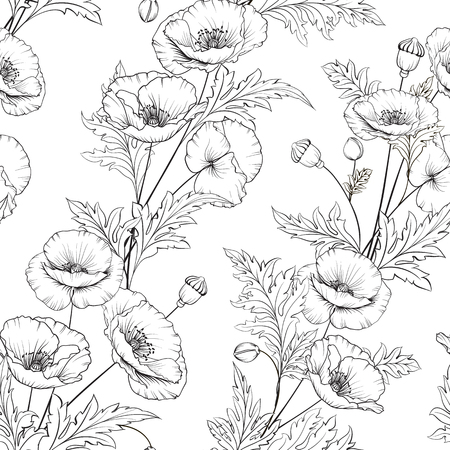 Pattern of poppy flowers on a white background. Vector illustration.のイラスト素材