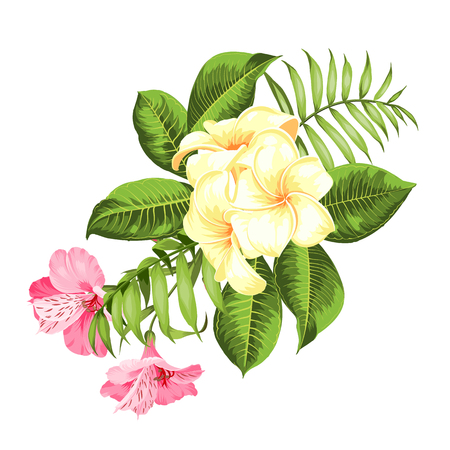 Label with plumeria flowers. Bouquet of aromatic tropical flowers. Invitation card template with color flowers of alstroemeria. Vector illustration.のイラスト素材
