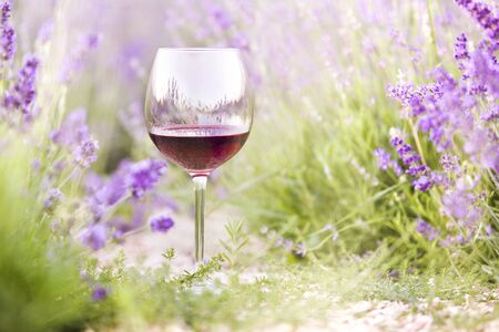 Red wine glass on the ground against lavender landscape.の写真素材