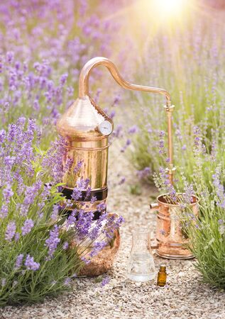 Distilling apparatus alembic with esential oil between of lavender field lines.の写真素材