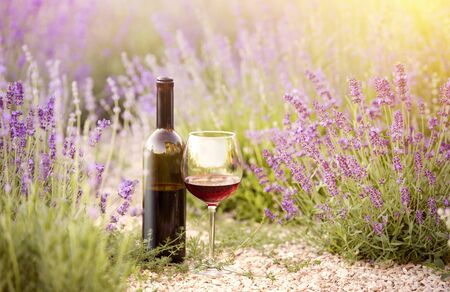 Delicious wine over lavender flowers field. Violet flowers on the background.の写真素材