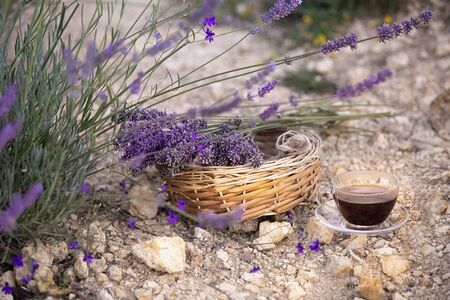 Lavender flower composition on field with basket and coffee cup.の写真素材