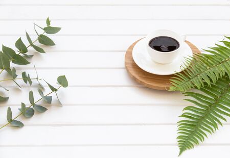 Top view of flatlay composition - Branches of green eucalyptus, fern and cup of black coffee on the background of a panel of white boards with an empty text place in the center.の写真素材
