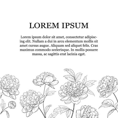 Botanical ink style rose with text place are isolated on white background. Elegant Vintage invitation card design. Vector illustration.のイラスト素材