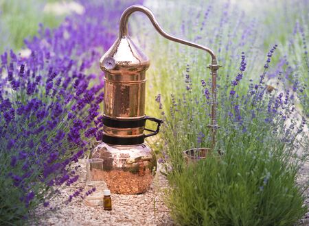 Distilling apparatus alembic with esential oil between of lavender field lines. Illustration of essetial oil distillation.の写真素材