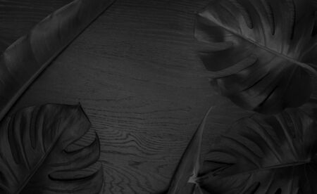 Black tropical and palm leaves of monstera on dark woodenの写真素材