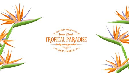 Beautiful card with a wreath of strelitzia tropical flowers and monstera leaves. Tropical flower garland. Blossom flowers for invitation card over white background. Vector illustration.のイラスト素材