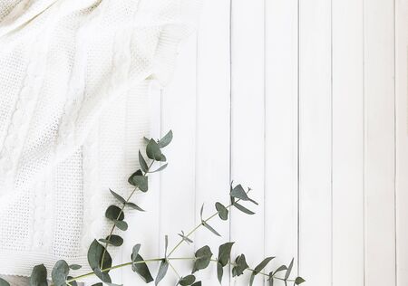 Natural cosmetics and leaves of fern and eucalyptus on a light background.の写真素材
