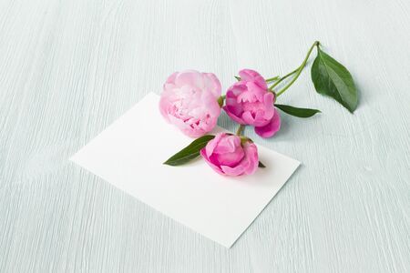 Three peony flower lay at the white empty invitation list over white table background. Scandinavian simple style interior of Provence.の写真素材