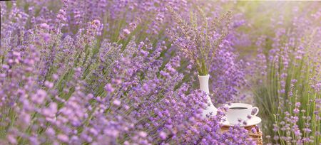 Lavender flower composition on field with vase and cup.の写真素材