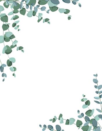 Eucalyptus border frame on white background.のイラスト素材