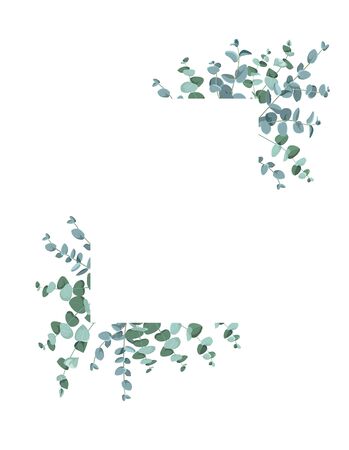 Eucalyptus border frame on white background.のイラスト素材