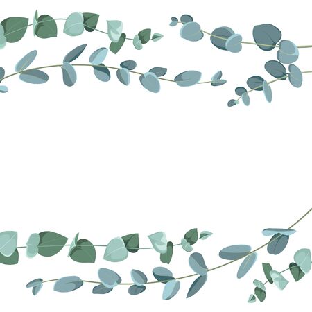 Eucalyptus border pattern on white background. Flat tropic border.のイラスト素材