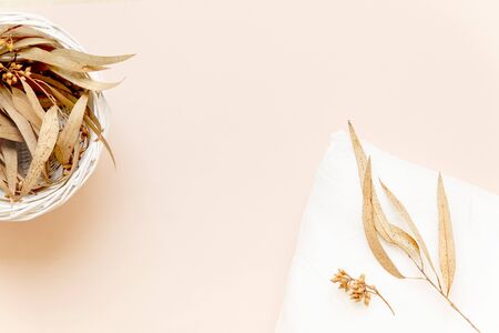 A basket with eucalyptus leaves and the pillow with dry leaves on it, coral pink backgroundの写真素材