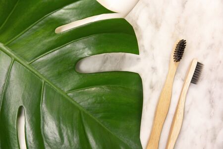 Natural toothbrush on marble table. Tropical leaf monstera on modern pastel background. Zero waste and plastic free.の写真素材