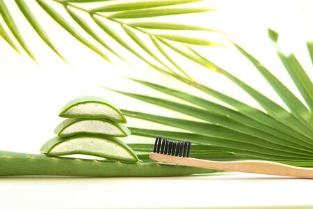 Natural toothbrush on leaf aloe vera. Tropical leaf palm on white background. Zero waste and plastic free.の写真素材