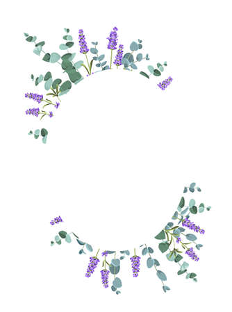 Eucaliptus and lavender elements design template. Simple design with frame flowers. Herbal vector frame.のイラスト素材