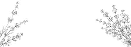 Botanical elements design template. Panoramic simple design with frame flowers. Herbal vector frameのイラスト素材