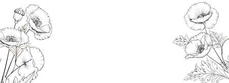 Botanical elements design template. Panoramic simple design with frame flowers. Herbal vector frameのイラスト素材