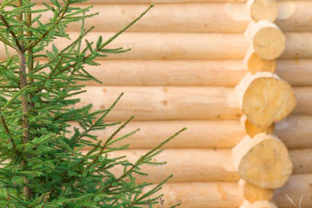 Wall of an old wooden house.の写真素材