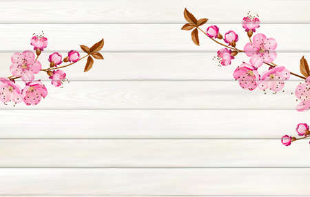 Tropical background for your design. Plumeria leaves on wooden background with empty spaceのイラスト素材