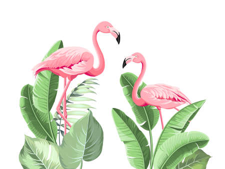 Summer tropical frame exotic banana leaf. Design background for card,invitation,poster.のイラスト素材