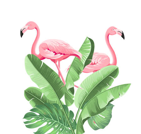 Summer tropical frame exotic banana leaf. Design background for card,invitation,poster.のイラスト素材