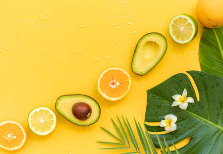 Fresh oranges and tropical leaf. Cutted citrus fruit for natural cosmetics.の写真素材