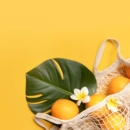 Fresh oranges and brushes in a eco bag. Cutted citrus fruit for natural cosmetics.の写真素材