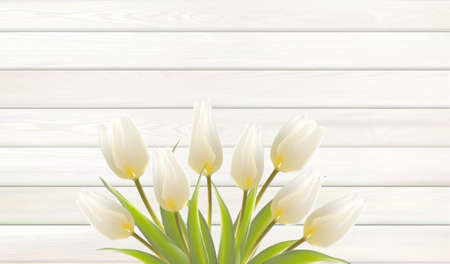 Flower background for your design. Tulip leaves on wooden background with empty spaceのイラスト素材