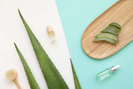 Organic oil aloe vera with drybrushing. Bottle essential oil.の写真素材