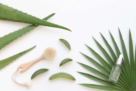 Vibrant flat lay composition with aloe vera and bottle massage oil.の写真素材