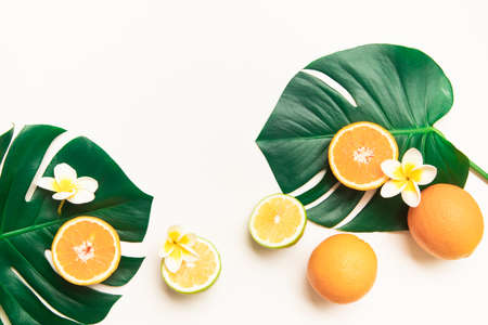 Fresh oranges and tropical leaf. Cutted citrus fruit for natural cosmetics.の写真素材