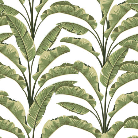 Seamless banana leaves. Vector tropical pattern background.のイラスト素材