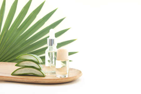Aloe Vera leaf slice with essential oil.の写真素材