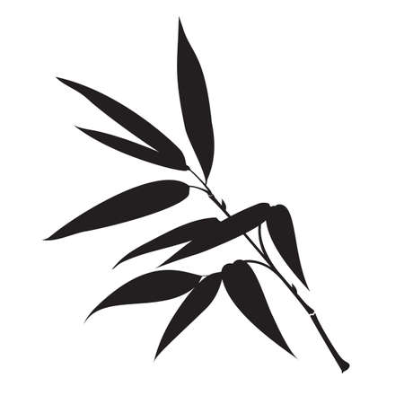 Decorative bamboo branches isolated on white background.のイラスト素材