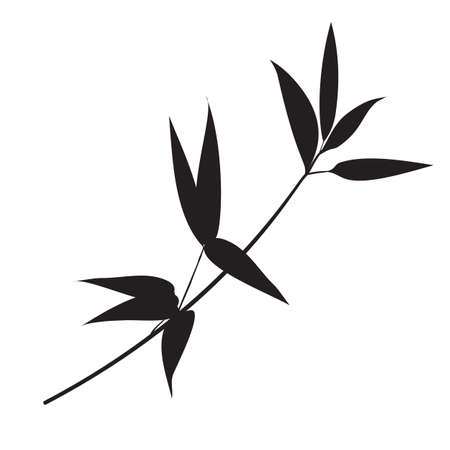 Silhouette bamboo leaves on white background.のイラスト素材