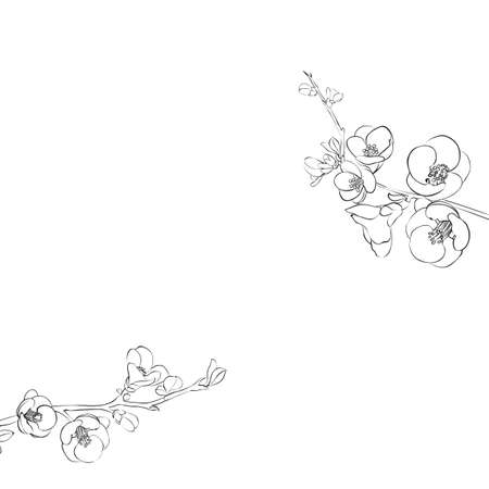 Hand drawn design elements sakura flowers collection.のイラスト素材
