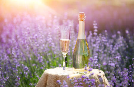 Champagne is poured into glasses in a sunset lavender field.の写真素材