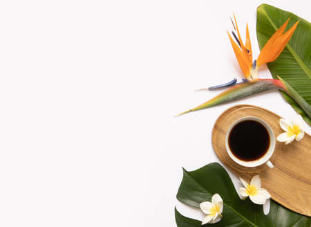 Cup of black coffee with fresh tropical leaves.の写真素材