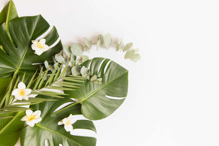 Tropical background with palm leaves and flower.の写真素材