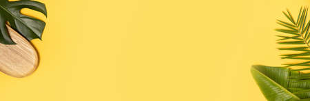 Tropical background with palm monstera leaves on yellow.の写真素材