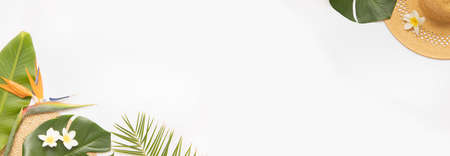 Tropical background with palm leaves monstera and flower.の写真素材