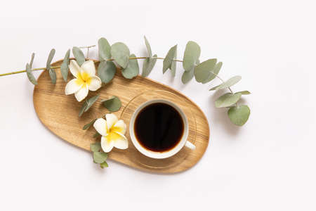 Cup of black coffee with fresh tropical leaves.の写真素材