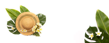 Summer background with palm leaves on yellowの写真素材