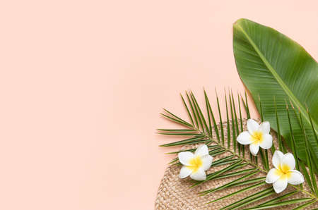 Tropical background with palm leaves and flowerの写真素材